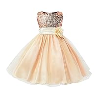 Pageant Dress Sequin Dress Birthday Bridesmaid Party Pageant Formal Lace Long Dresses Fancy Tween