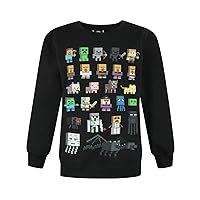 Minecraft Sprites Boy's Black Sweatshirt