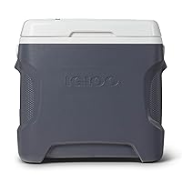 Igloo Portable Electric Coolers (18-60QT)
