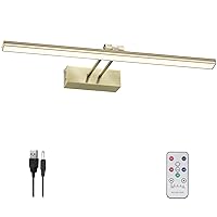 FUNCHDAY Picture Light,5000mAh Battery Operated Picture Light for Wall,Wireless Remote Painting Light with Timer and Dimmable,16”Metal Art Light for Display,Artwork,Portrait,Gallery-Antique Brass