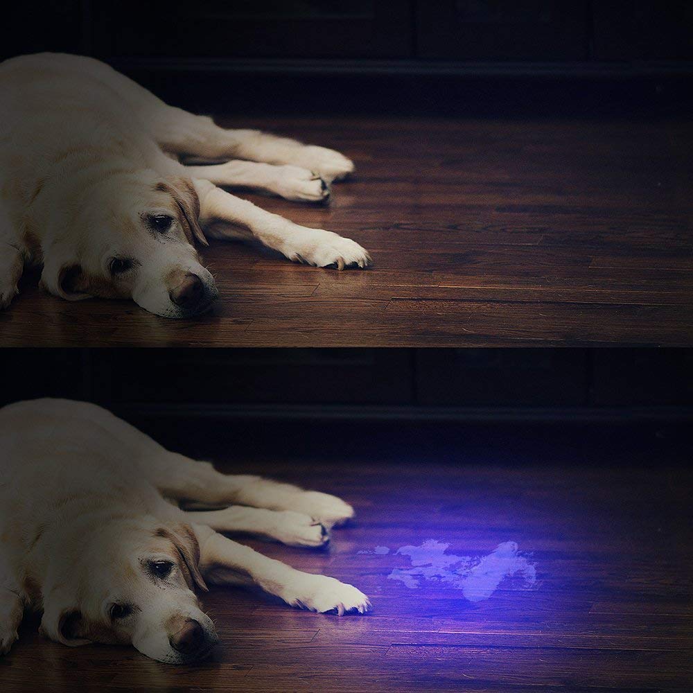 51 LED UV Flashlight & 12 LED UV Flashlight- Urine Detector for Dog/Cat/Pet Urine & Dry Stains and Bed Bug On Carpets/Rugs/Floor,Matching with Pet Odor Eliminator