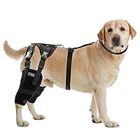 Double Dog Knee Brace, Support for Torn ACL Hind Leg, Luxating Patella, Reduces Arthritis Pain & Inflammation, with Side Stabilizers,Harness & Connection Belt for Back Leg (Both Legs, XX-Large)