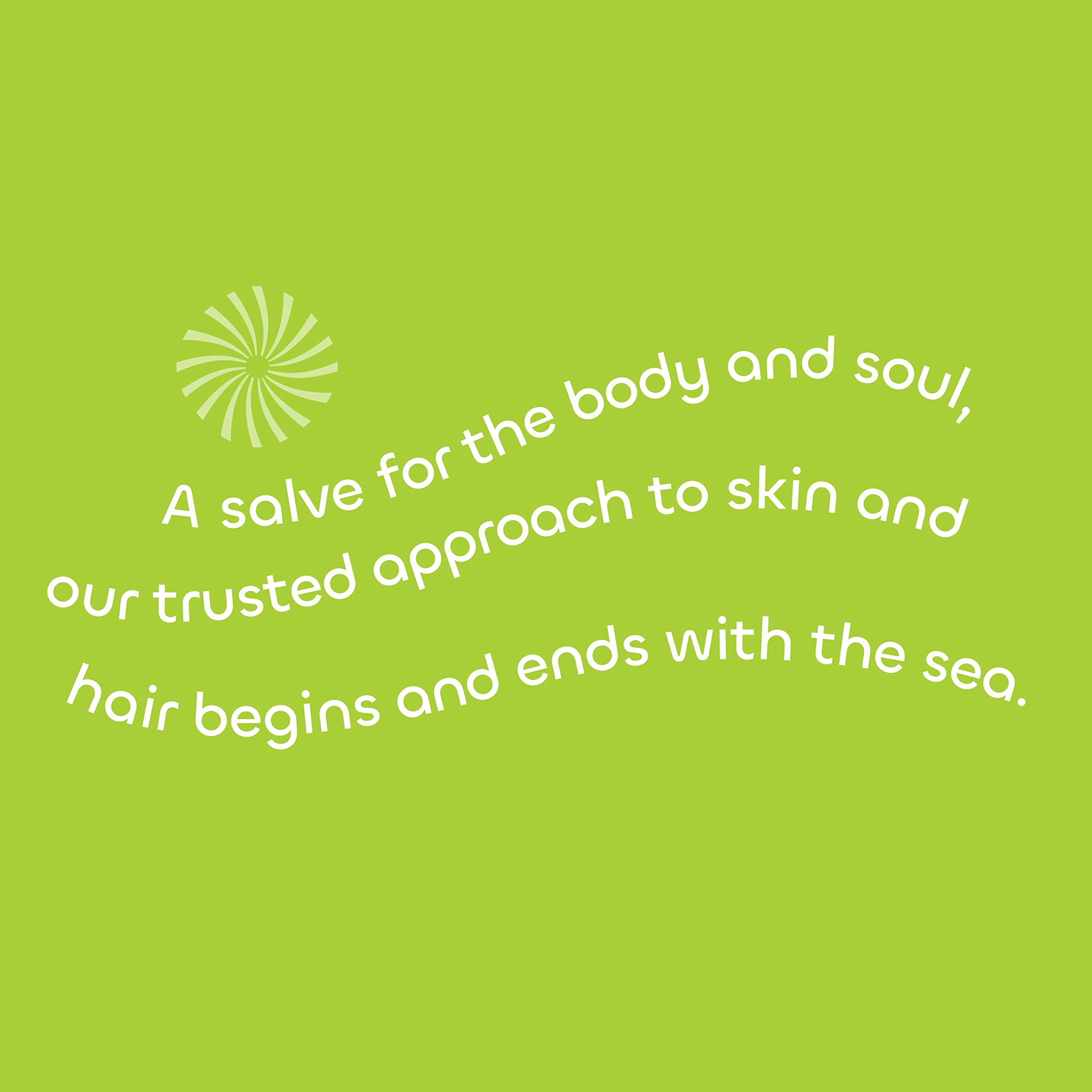 Seaweed Bath Co. Gloss Shampoo, Sea Salt Bergamot Scent, 12 Ounce, Sustainably Harvested Seaweed, Awapuhi, Lactic Acid, For All Hair Types