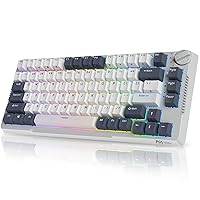 RK ROYAL KLUDGE H81 Hot Swappable Mechanical Keyboard, Triple Mode 2.4Ghz/BT5.1/USB-C Knob Control Wireless Gaming Keyboard Gasket Mounted with RGB Backlit SkyCyan Switch, 75% Layout 81 Keys, White