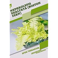 Nephrolepis exaltata (Boston Fern): Open terrarium, Beginner's Guide