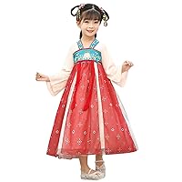 Kids Fairy Dresses Guzheng Hanfu for Girls Long Sleeves Chinese Custom Performance Costumes Leotards Dress for