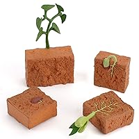 4 PCS Farm Plant Life Cycle Model Figure Set Party Favors Supplies Cake Toppers Statue Desktop Decoration Educational Development Toys for 5 6 7 8 Year Old Boys Girls Kid Toddlers