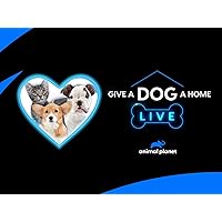 Give a Dog a Home Live! - Season 1