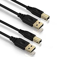 USB A to USB B Printer Cable 6ft, 2 Pack USB 2.0 Printer Cable Type A to Type B Printing Cable High Speed Scanner Printer Cord for HP Canon Dell Epson Brother Xerox Piano MIDI Controller DAC
