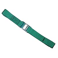 CLC Custom Leathercraft 2WS06 Strap-It Web Tie Down Straps, Green, 6-Foot, 2-Pack