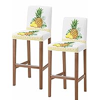 Pineapple Palm Leaves Bar Stool Cover Set of 2, Stretch Removable Bar Stool Chair Covers with Backs Pub Counter Stool Chair Slipcover for Dining Room Kitchen Cafe Tropical Summer Fruit Grey Stripe