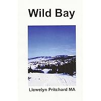 Wild Bay (Port Hope Simpson Mysteries) (Russian Edition) Wild Bay (Port Hope Simpson Mysteries) (Russian Edition) Paperback