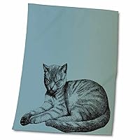 3dRose PS Animals - Sleepy Kitty Cute Pets Animal Art - Towels (twl-130573-2)