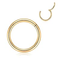 FUNLMO 316L Surgical Steel Hinged Nose Rings Hoop 20G 18G 16G 14G 12G 10G 8G 6G 4G 2G 0G 00G Piercing Ring for Nose Septum Cartilage Helix Tragus Conch Rook Daith Lobe 5mm to 16mm 1Pc