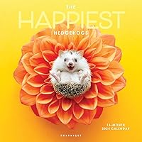 Graphique 2024 Happiest Hedgehogs Wall Calendar | 12” x 12” | Thick Paper | Home & Office Organizer | Large Monthly Grid | 3 Languages & Marked Holidays | 4 Month Preview Page for 2025