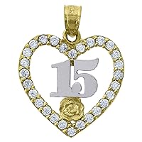 14k Gold Womens Two tone CZ Cubic Zirconia Simulated Diamond 15 Anos Love Heart Quinceanera Height 21.7mm Pendant Necklace Charm Jewelry for Women