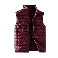 Packable Puffer Vest Men Down Vests Outerwear Warm Quilted Sleeveless Jacket Coats Big Tall Winter Vests For Men