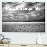 Pause tranquillité(Premium, hochwertiger DIN A2 Wandkalender 2020, Kunstdruck in Hochglanz): Photos de la mer prises en pose longue (Calendrier mensuel, 14 Pages ) (French Edition)
