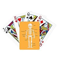 Cartoon Human Bone Illustration Poker Playing Magic Card Fun Board Game