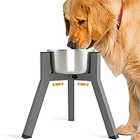 SHAINFUN Grey Raised Dog Bowl Stand for Large Medium Dogs 11