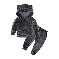 Little Girls Hooded Velvet Tracksuit Pull Over Bear Ear Hoodie Sweatshirt and Long Pants Sets Casual Clothes