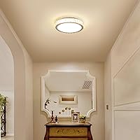 14 Inch Dimmable Ceiling Light 38W 1280LM 3 Color Temperature in One Flush Mount Ceiling Light Bedroom Lights for Ceiling Transparent One Size