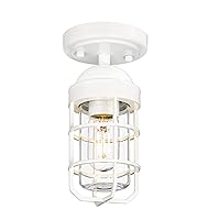 Emliviar Modern Industrial Ceiling Light Semi Flush Mount, Small Close to Ceiling Light Fixture for Porch Hallway Foyer, Clear Tempered Glass with White Finish, GE255F WH
