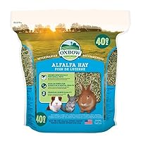 Oxbow Animal Health Alfalfa Hay - All Natural Hay for Young, Pregnant, or Nursing Small Pets - 40 oz.