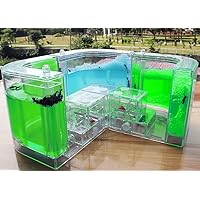 Large Ant Farm Gel Ant Colony Ecosystem Terrarium, Ant Habitat Science Learning Kit(with No Ant)