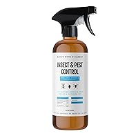 Reefer Galler SLA Cedar Scented Moth Repellent Spray, Kills Moths, Bed  Bugs, and Pests on Contact, 15 oz (Pack of 6)