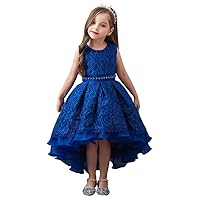 HIHCBF Flower Girls High Low Lace Dress Princess Wedding Pageant Birthday Christmas Party Formal Evening Dance Ball Gown