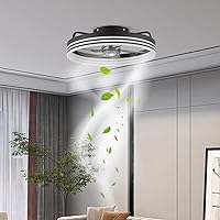 Flush Mount Low Profile Ceiling Fans with Lights and Remote Control, 18