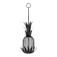 Achal Designs Pineapple Birdfeeder
