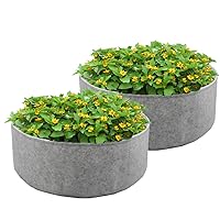 2-Pack 10 Gallon Large Grow Bag, Heavy Duty Fabric Round Raised Garden Bed Planter Pots for Planting Herb Flower Vegetable Potato Plants (19