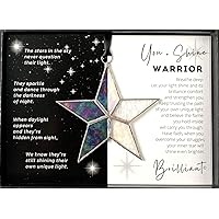 Handmade Iridescent Stained Glass Star with Warrior Message - Hang in There Gift- Encouragement Gift for Hard Times – Everything Will Be Fine Gift - Get Well Soon Gift for Cancer Patients (Warrior)