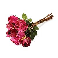 Garden Rose Bundle/8 Fuchsia