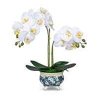 Dahlia Realistic Flower Arrangement in Blue and White Porcelain Pot, 7 Phalaenopsis Orchids, White