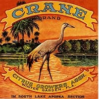 Winter Garden Florida Crane Brand Bird Orange Citrus Fruit Crate Box Label Art Print