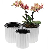 MUZHI Orchid Pot with Net and Holes, Round Self Watering Planter Pot for Indoor Plants and Flowers 3 Sets White