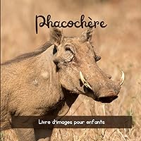 Phacochère: Livre d'images pour enfants (French Edition)