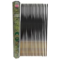 Forest - 20 Stick Hex Tube - HEM Incense