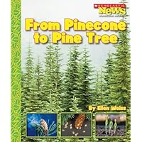From Pinecone to Pine Tree (Scholastic News Nonfiction Readers: How Things Grow) From Pinecone to Pine Tree (Scholastic News Nonfiction Readers: How Things Grow) Library Binding Paperback