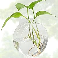 3PCS Bulb Flass Vase, Propagation Stations Plant vases with Suction Cup Hook, Atmosphere Planter Glass Vase Wall Clear Plant Vase No Nails Flower Plant Lover Gifts
