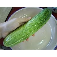 Heirloom 'Long Green Improved' Cucumber, Disease-resistant Slicer,100 Seeds!