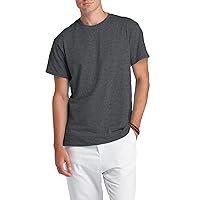 Men's Adult Regular Fit Short Sleeve Tee 2-Pack