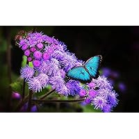 Exquisite Flowers and Butterflies - Jigsaw Puzzles for Adults 1000-Piece DIY Puzzle Kids Wooden Toys
