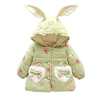 Star Hooded Coat Jacket Winter Toddler Baby Warm Outerwear Fleece Windproof Thicken Girls Fall Coat Toddler