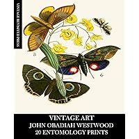 Vintage Art: John Obadiah Westwood 20 Entomology Prints: Fauna and Flora Ephemera for Framing, Collage, Decoupage, Junk Journals and Mixed Media