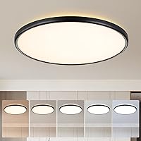 TALOYA 18 Inch Black Flush Mount Led Ceiling Light Fixture for Living Room Dining Room Ultra-Thin Round Surface Mounted Fixture Brightness Dimmable Equivs to 260W Traditional Led Bulb
