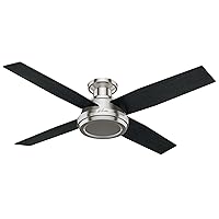 Hunter Fan Company 59247 Dempsey Indoor Low Profile Ceiling Fan with Remote Control, 52